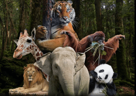 Kempen Cuti-Cuti Malaysia 'santai di Zoo' tawar diskaun menarik