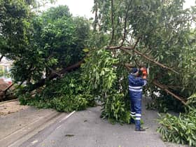 Mangsa pokok tumbang boleh tuntut ganti rugi