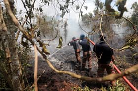 Kebakaran Hutan Simpan Kuala Langat dijangka padam sepenuhnya lima hari lagi