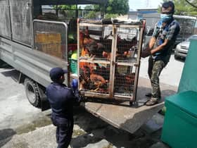 无牌营业.占用五脚基  巴生10店铺遭取缔