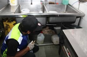 JKNS: 42 restoran dikotori lipas, lalat dan tikus diarah tutup