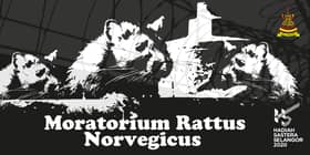 Moratorium Rattus Norvegicus