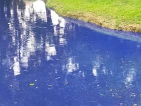 Kilang cetak dikompaun, punca kolam tadahan tercemar