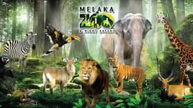 Zoo Melaka reopens with minimum RM5 ticket price, max 500 people per session