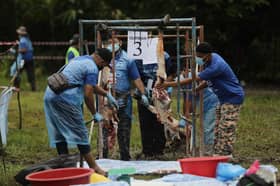 MB puas hati pematuhan SOP ibadah korban