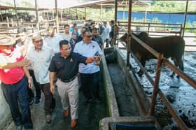 SOP ketat, ibadah korban tetap dilaksanakan - MB