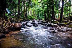 Taman eko rimba dibuka esok, laluan pendakian HSK 9 Oktober