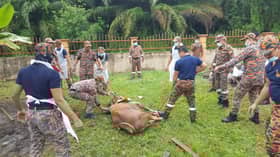 Ibadah korban lancar dalam suasana norma baharu