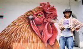 Pesara bina 'kerjaya' baharu sebagai pelukis jalanan