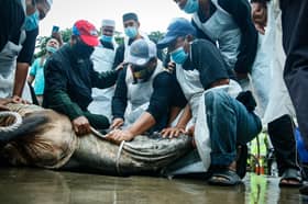Masjid antara tiga premis di Selangor dibenar laksana sembelihan korban