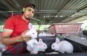 Ramzul Zahini: Daripada pemain bola sepak kepada penternak arnab