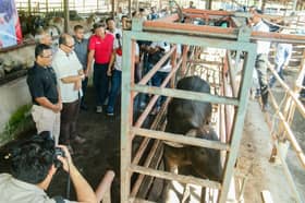 GLC sumbang 900 lembu korban