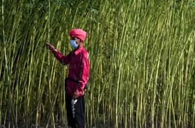 Agricommodity sector contributes RM61.3 bln to GDP up till third quarter of 2022