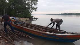 Empat lelaki ditahan ambil kayu bakau tanpa kebenaran