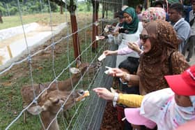 Selangor Fruit Valley destinasi riadah keluarga