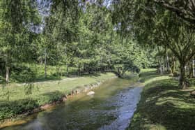 Selangor tubuh jawatankuasa pantau pemuliharaan sungai