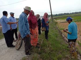 Rozana bela pesawah, rancang bina hab makanan Jawa