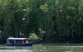 312 passengers stranded on ferry from Langkawi