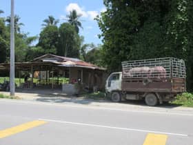 Strict ban on moving livestock from infected areas without permission — Terengganu state executive councillor  