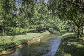 Safeguarding rivers a collective responsibility