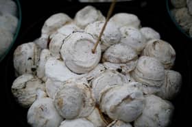 Malaysia natural rubber production up 21.2 pct in July — DOSM