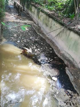 MPS beri tempoh 24 jam pemilik kilang bersih sisa minyak sawit