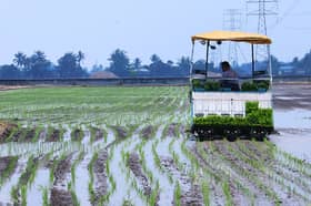 MBI, PKPS jalin kerjasama laksana projek pertanian berteknologi tinggi