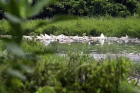 Sites for disposal of clinical waste, unlicensed gambling among issues discussed in Parliament today