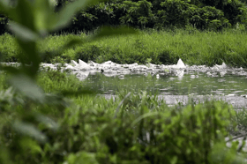 Industrial sector urged to adopt rivers, contribute to environmental sustainability efforts