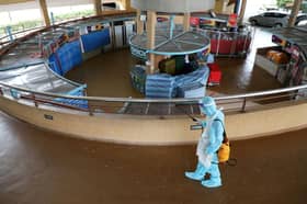 Covid-19: Six new clusters detected