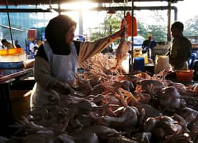 Chicken supply, prices stable despite subsidy removal