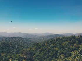 Pahang appeals for Taman Negara closure cancellation