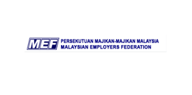 Employers must provide career progression structure — MEF