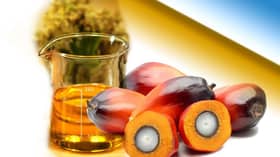 Malaysia postpones biodiesel mandate rollout to 2022