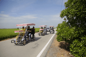 Tourism industry generates RM197.9 bln GVATI in 2021, contributes 12.8 pct to GDP — DOSM