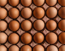 Ample supply of eggs to meet domestic demand — Minister