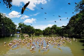 Zoo Negara running out of money