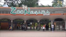 Swift cleanup at Zoo Negara after Tuesday’s flood, no animal impact