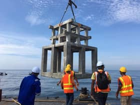 Fisheries Dept builds 74 artificial reefs, generates over RM84,000 in fish biomass revenue