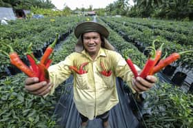 LPP wants more young people to become agropreneurs