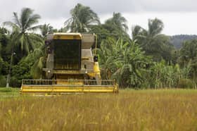 MAFI mulls targeted subsidies, incentives to address rising input costs