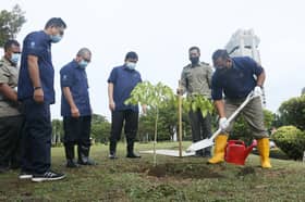 Kempen tanam 100 juta pokok libat hingga 80,000 hektar kawasan