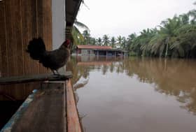 Sarawak dilanda banjir, mangsa di tiga negeri turun