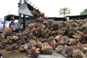 Malaysia’s palm oil stocks down 4.09 pct in Dec 2022
