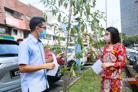 DUN Bandar Utama tanam semula 40 pokok rosak