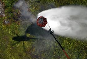 Hot weather starting March, state readies for forest fires