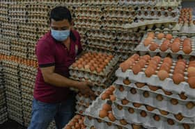 Chicken ceiling price, egg subsidy remains, some farms can export beginning Oct