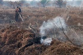 Hutan simpan terbakar, pekerja Indonesia ditahan