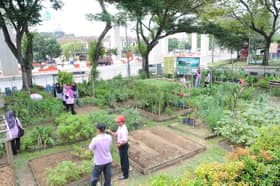 MBSJ advises residents to farm in suitable areas