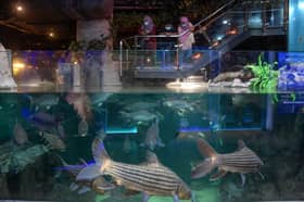 MOH expects daily Covid-19 cases to be around 500 by May